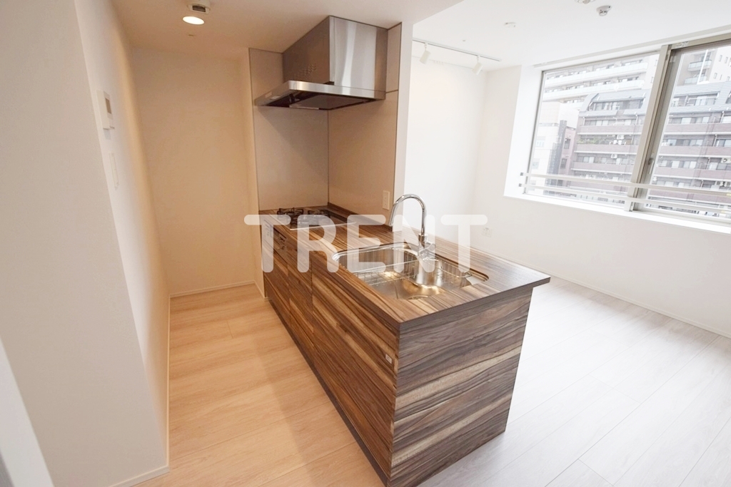 エルスタンザ文京湯島-801