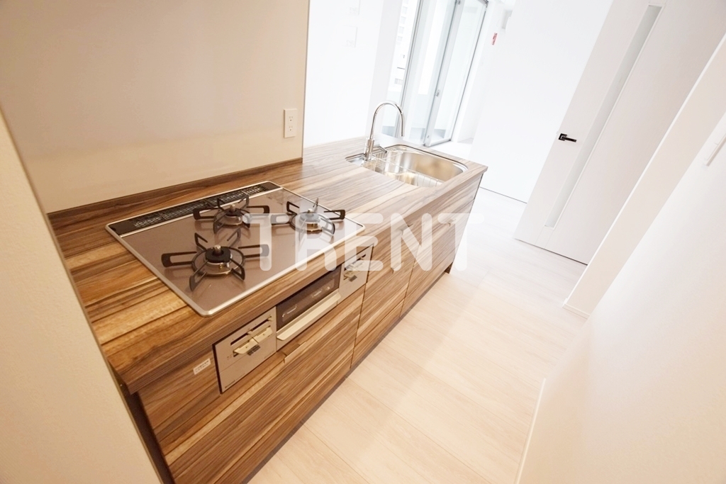 エルスタンザ文京湯島-801