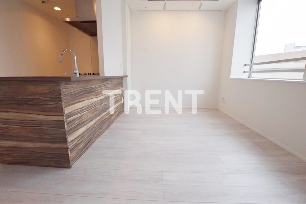 エルスタンザ文京湯島-801