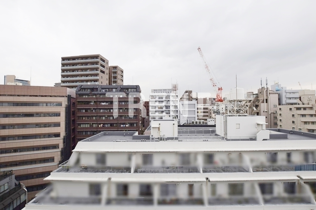 エルスタンザ文京湯島-801