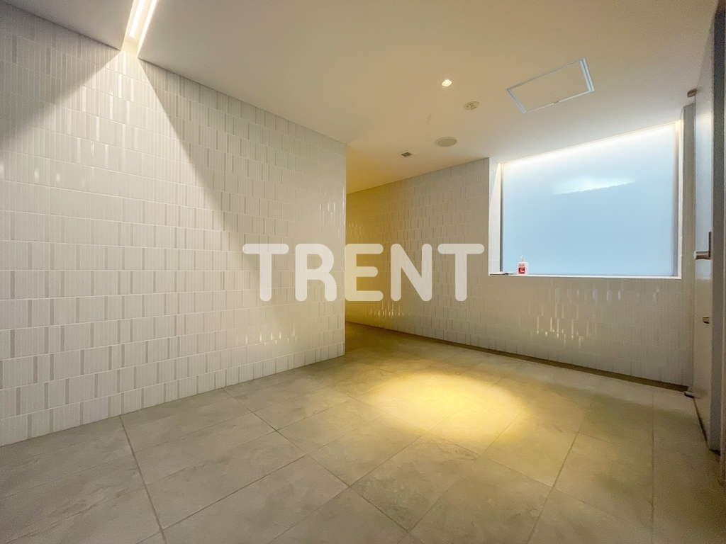 エルスタンザ文京湯島-801