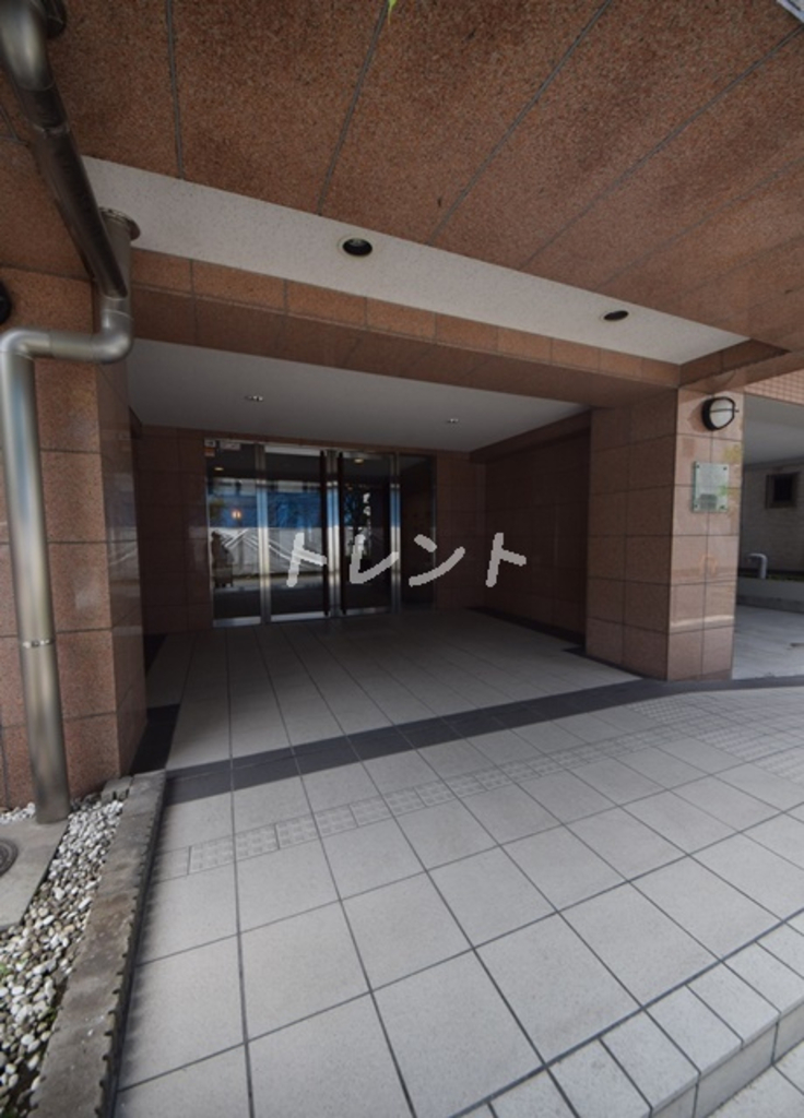 ネオマイム湯島-503