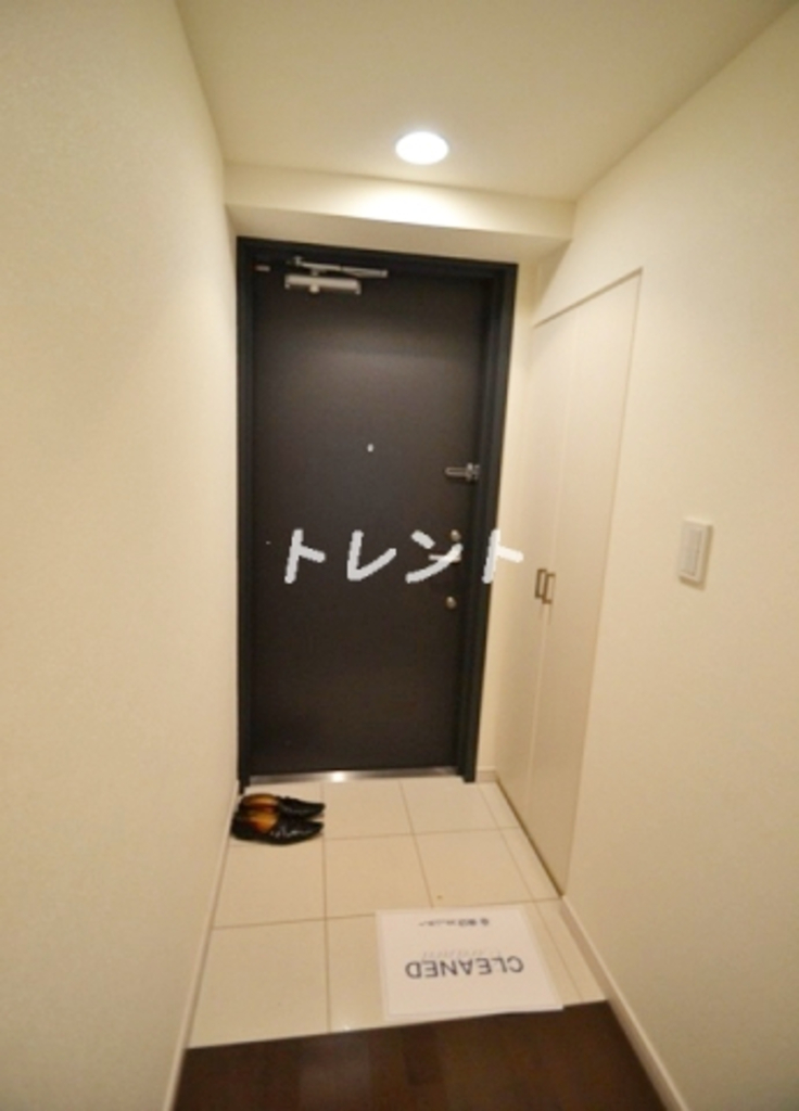 エスティメゾン東新宿-102
