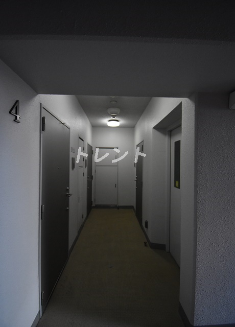 シティスパイア新富町-204
