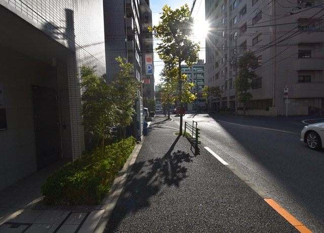 シティスパイア新富町-204