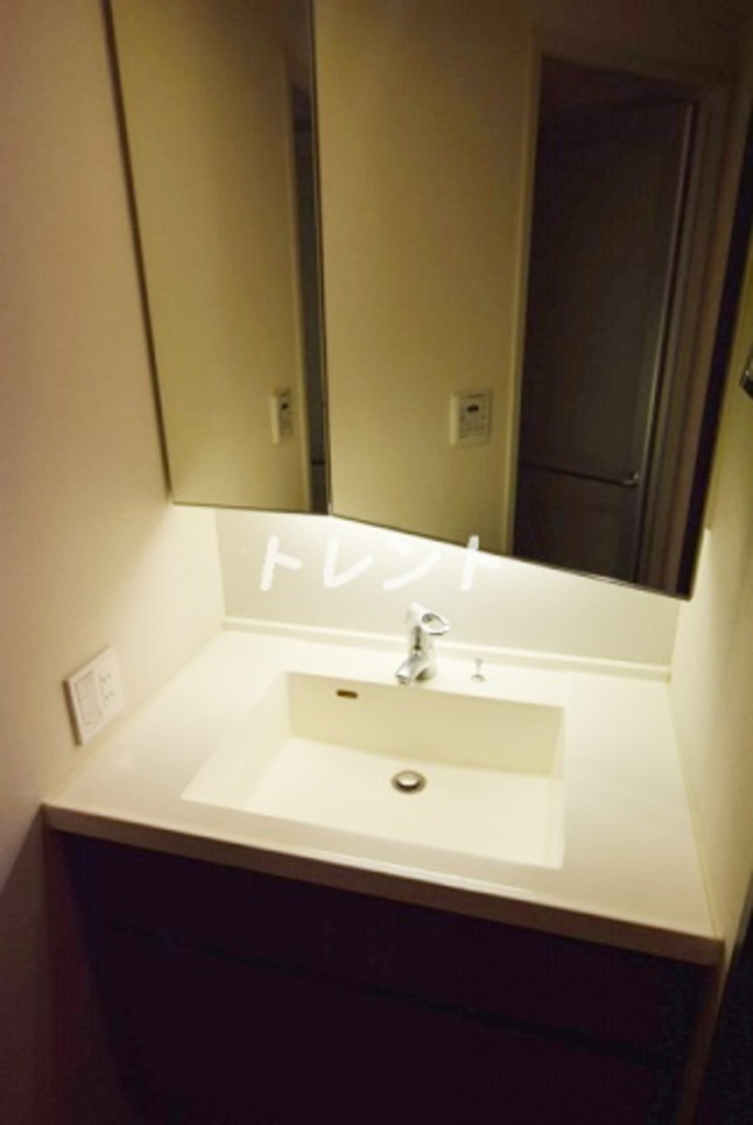 コスモリード市ヶ谷払方町-310