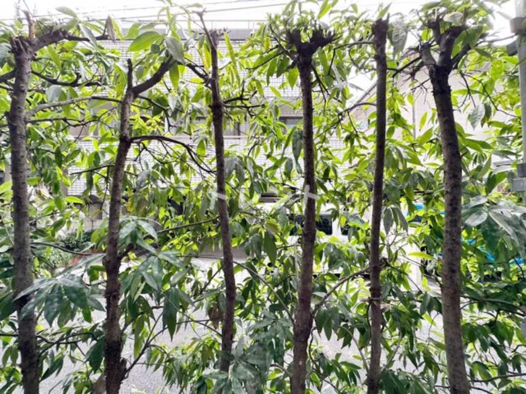 パークキューブ四谷三丁目-101