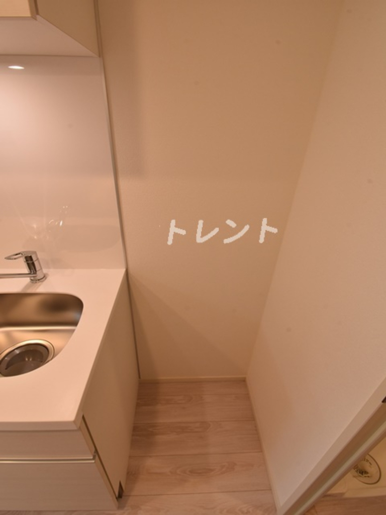 ライオンズフォーシア築地ステーション-304