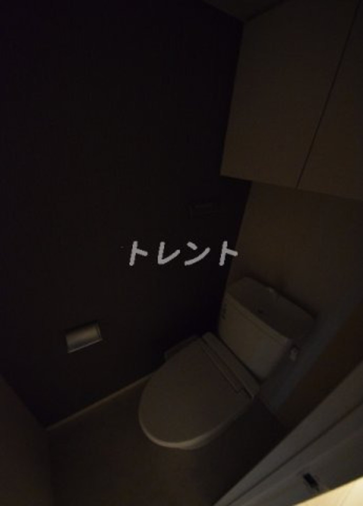 ディームス三田-203