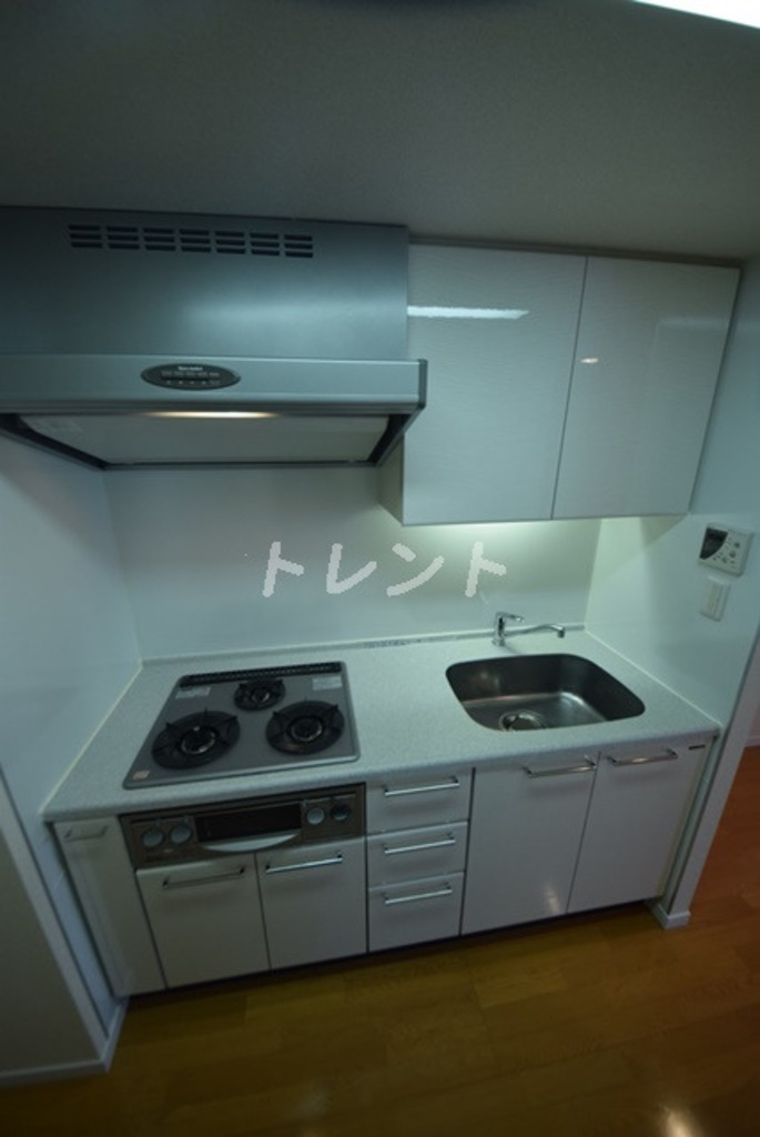 ステラメゾン茗荷谷-1001