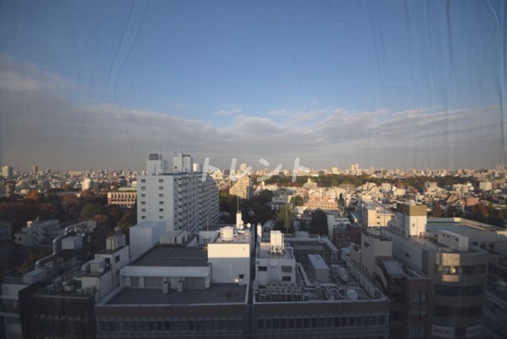 ステラメゾン茗荷谷-1001