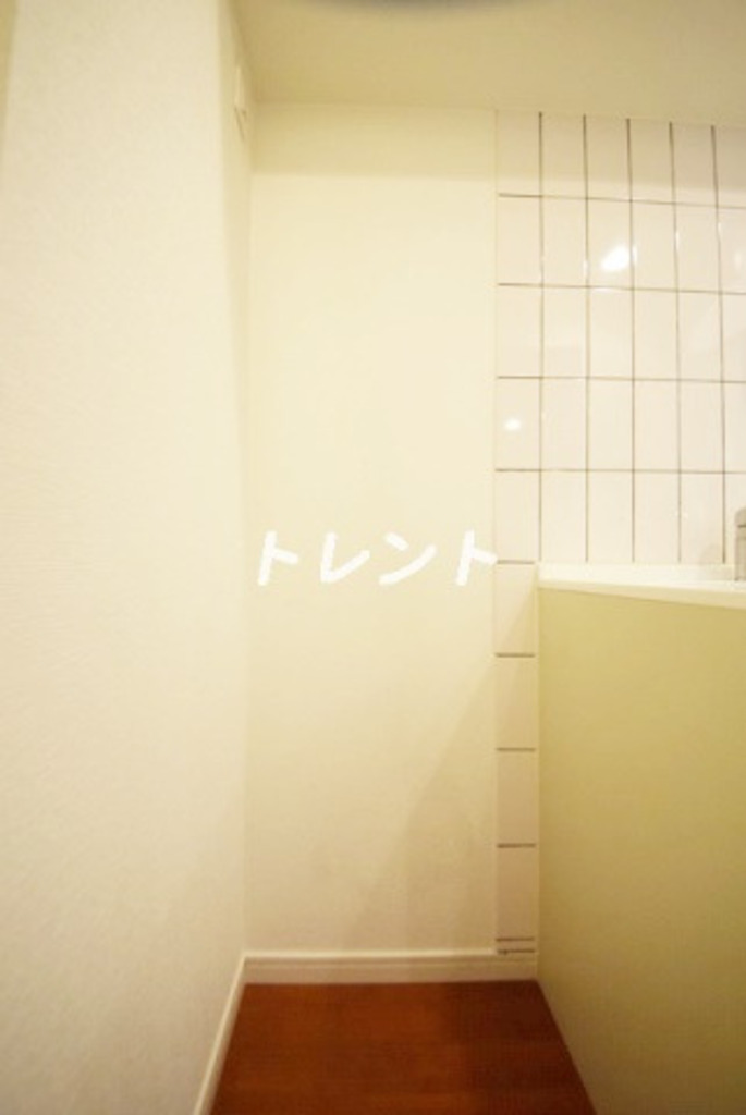 パレスサイドステージホームズ麹町-501