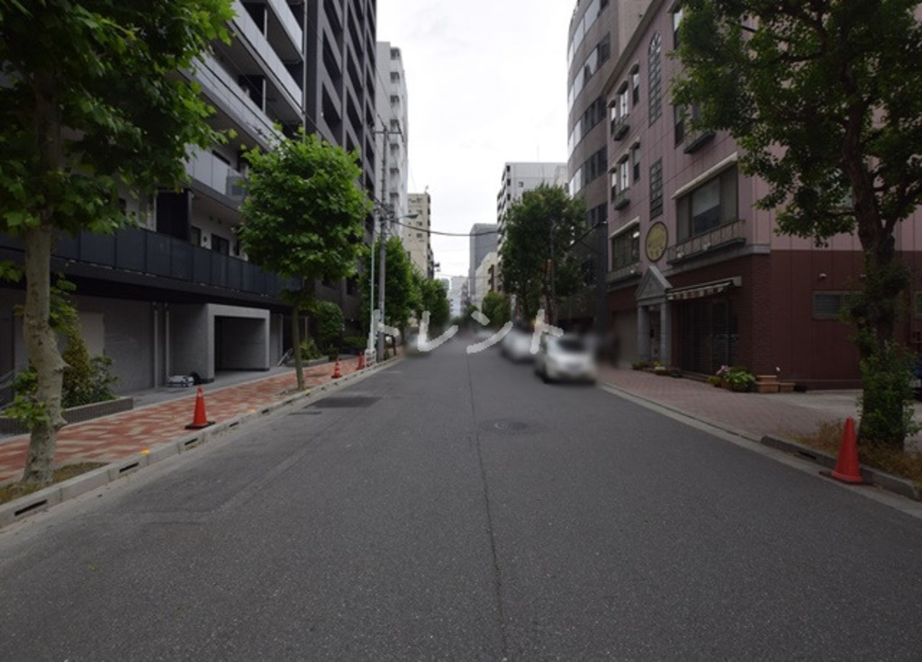 ザパークハビオ日本橋馬喰町-1109