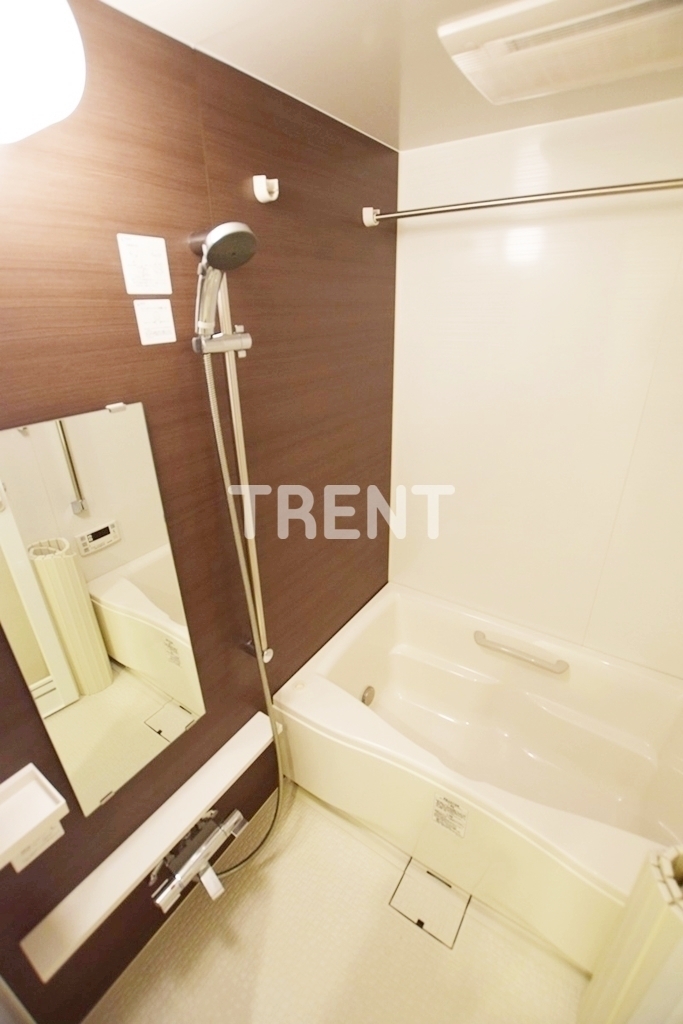 メゾンドコリーヌ市ヶ谷-311