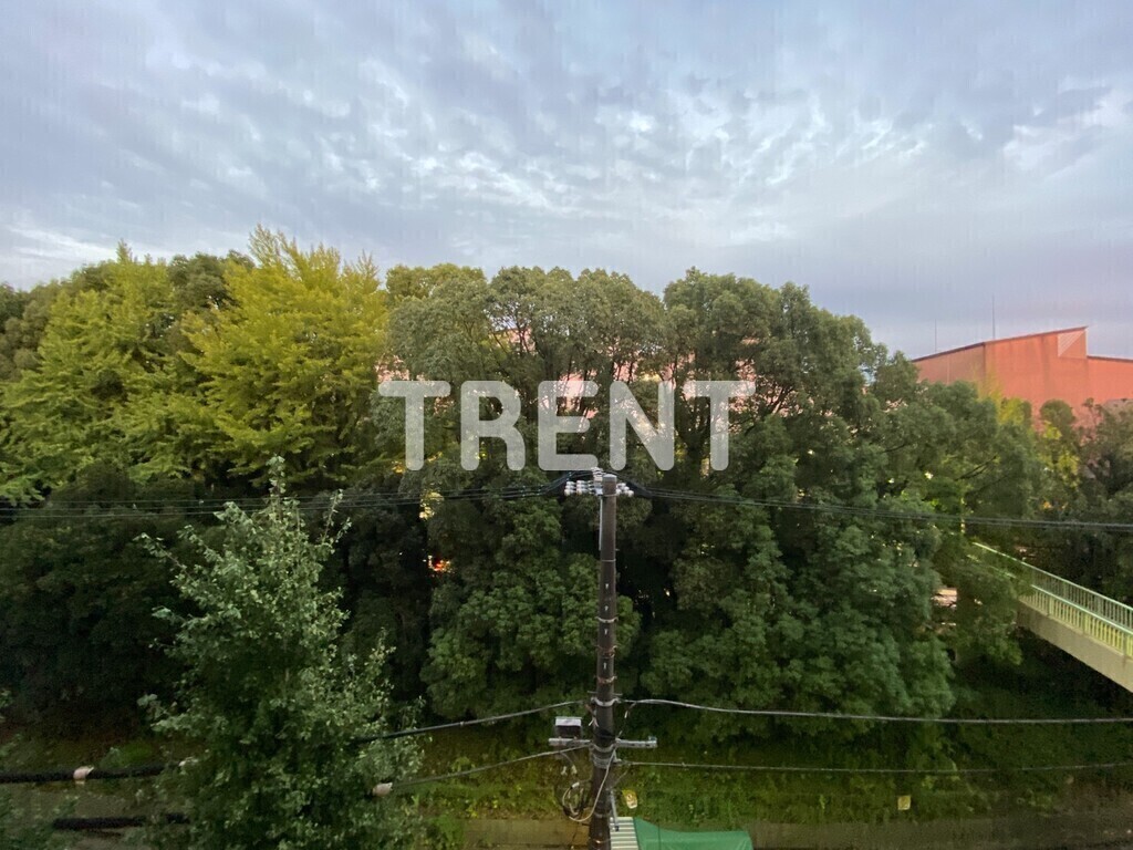 ザパークハビオSOHO代々木公園-416