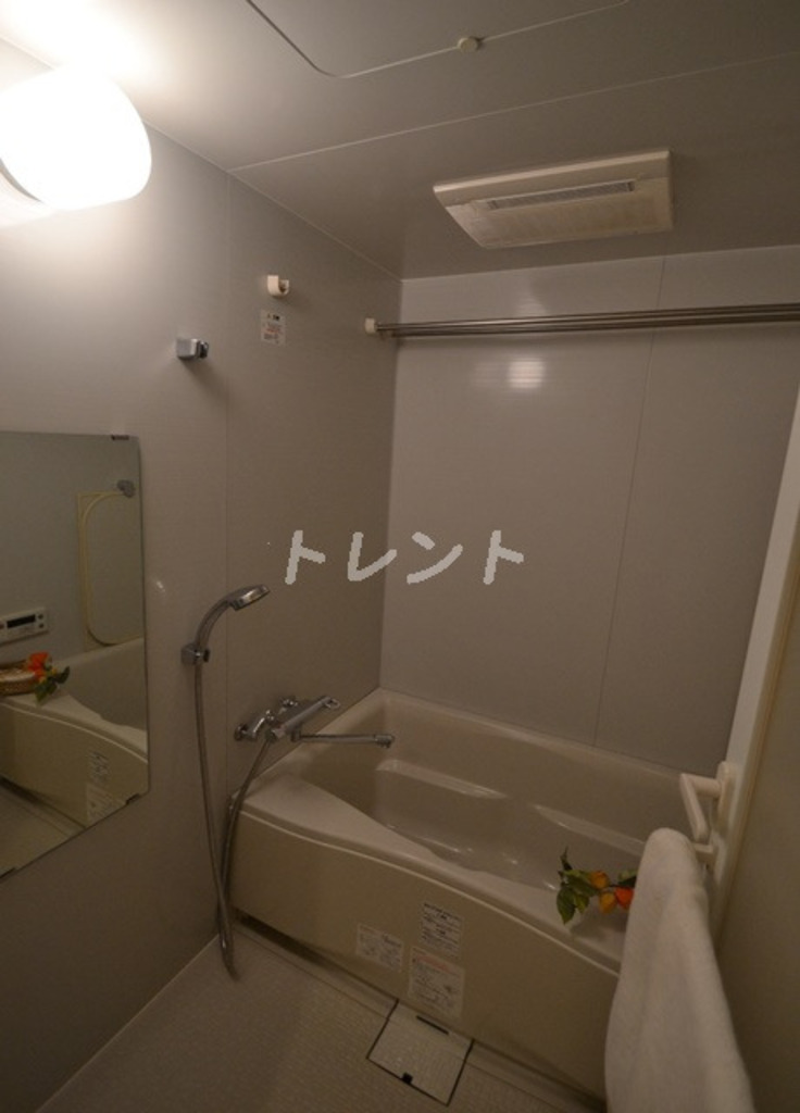 エスティメゾン中野富士見町-104