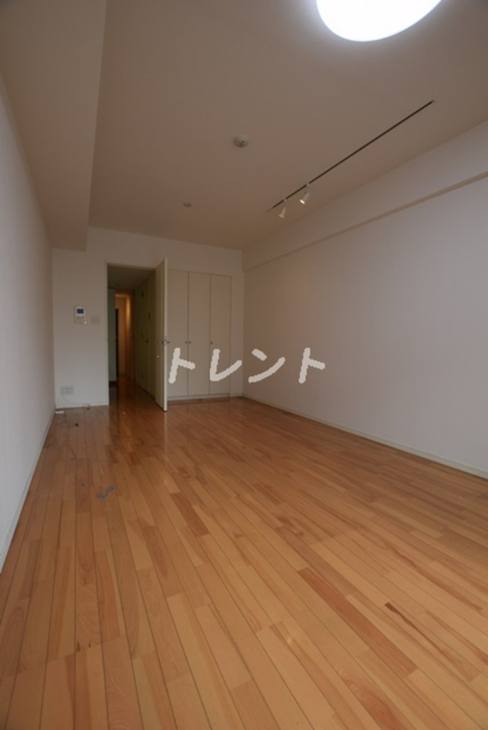 プレミアムキューブ秋葉原-301