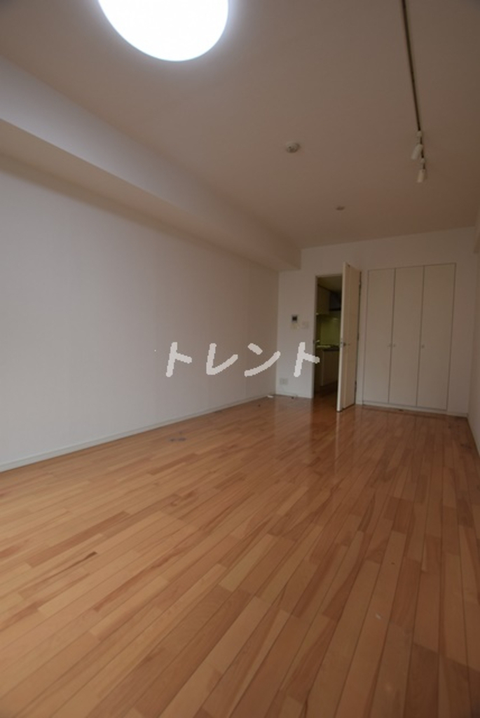 プレミアムキューブ秋葉原-301
