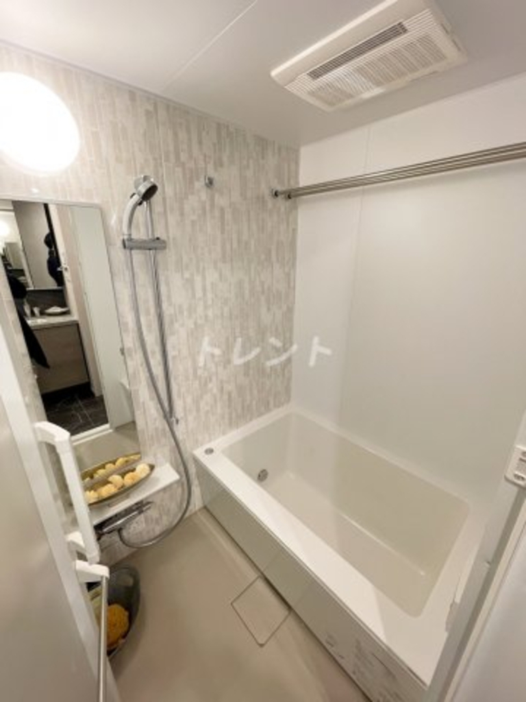 ザパークハビオ小石川-406