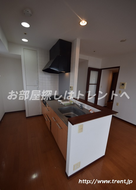 コンフォリア本駒込-202