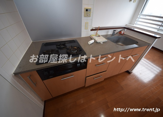 コンフォリア本駒込-202