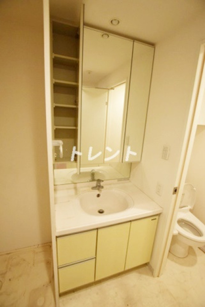 カーサデルソル小石川-504