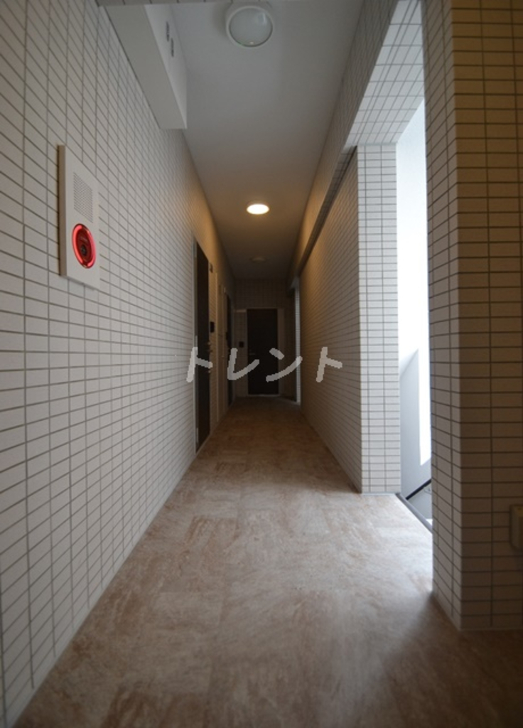ステラフォート-303