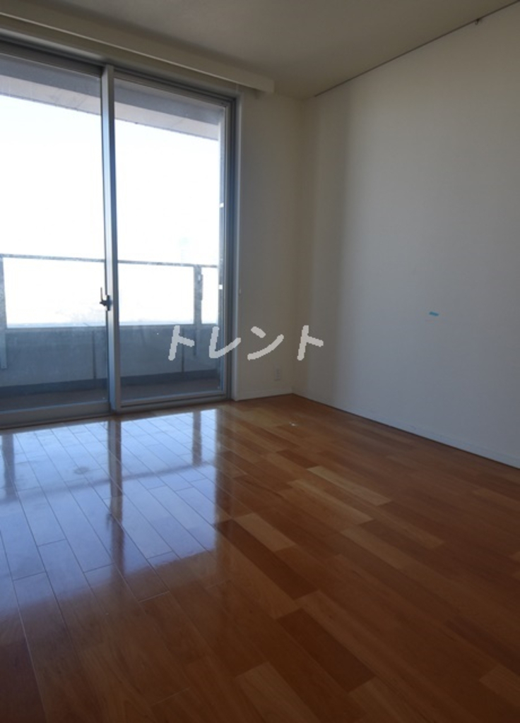 ザトーキョータワーズミッドタワー-1117