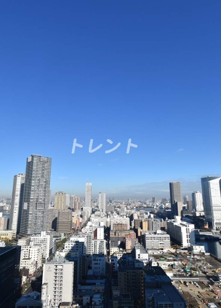 ザトーキョータワーズミッドタワー-1117