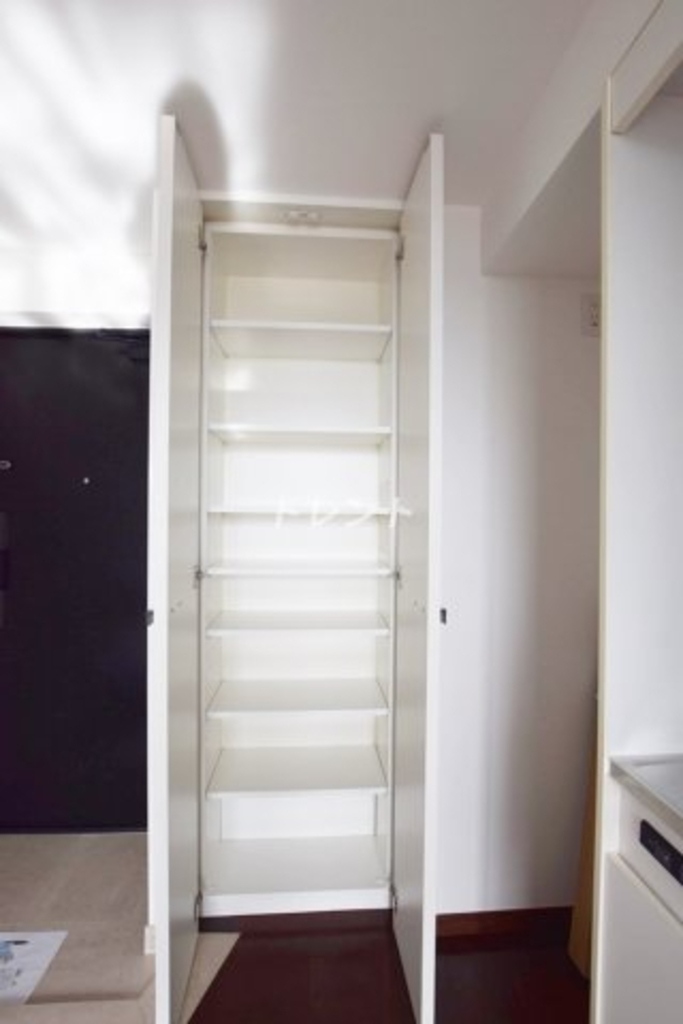 ロネスタR文京護国寺-303