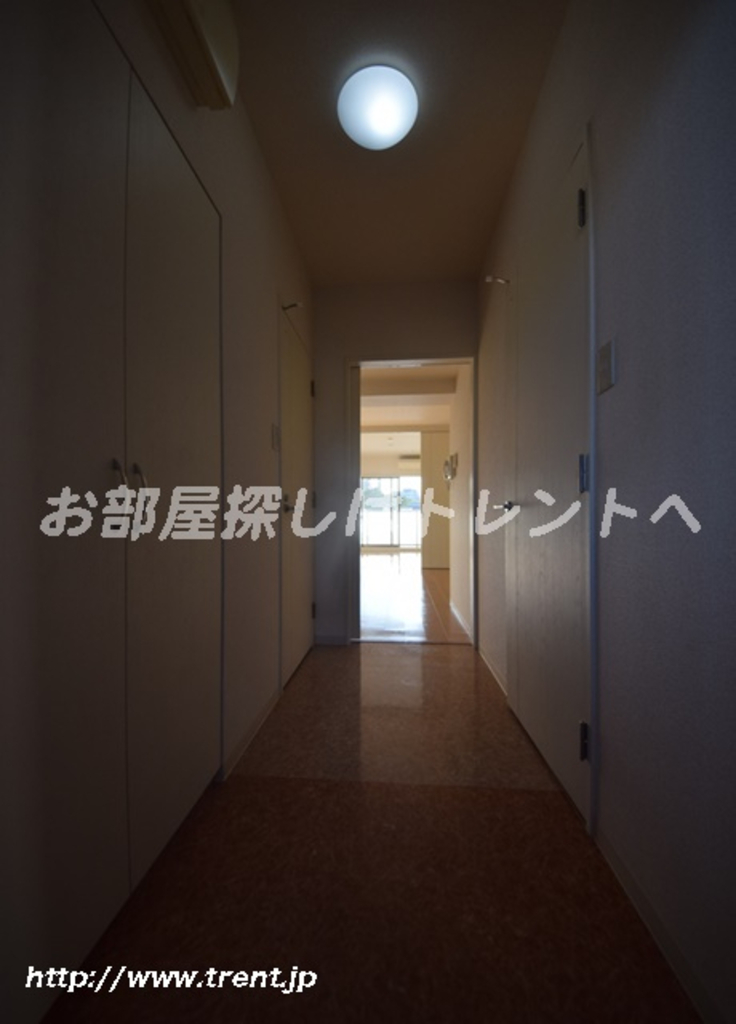 ルーチェ茗荷谷-401