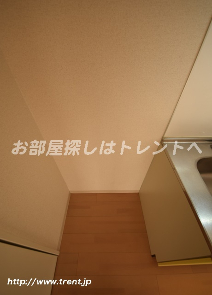 ルーチェ茗荷谷-401