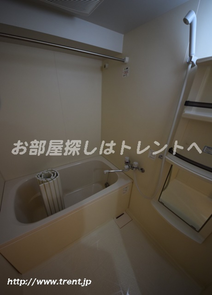 ルーチェ茗荷谷-401