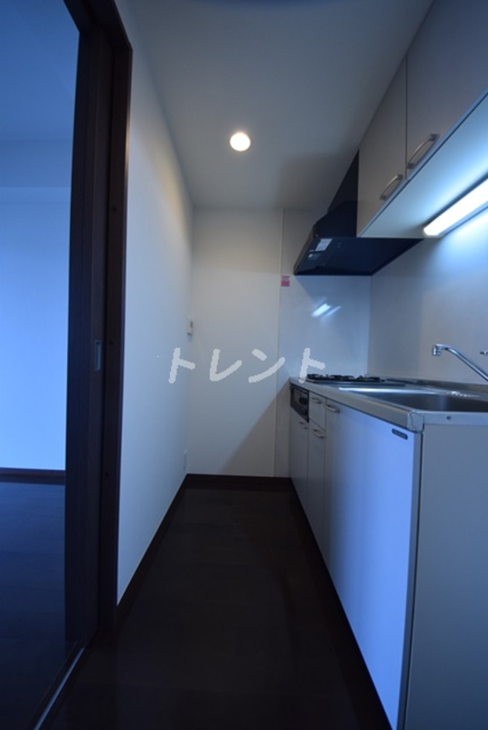 カッシア神田レジデンス-1002