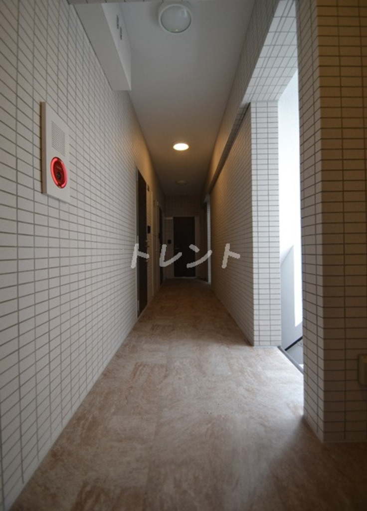 ステラフォート-201