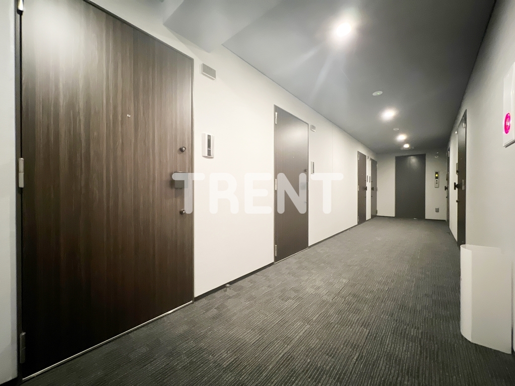 ブライズ神楽坂ドゥエ【ブライズ神楽坂DUE】-501