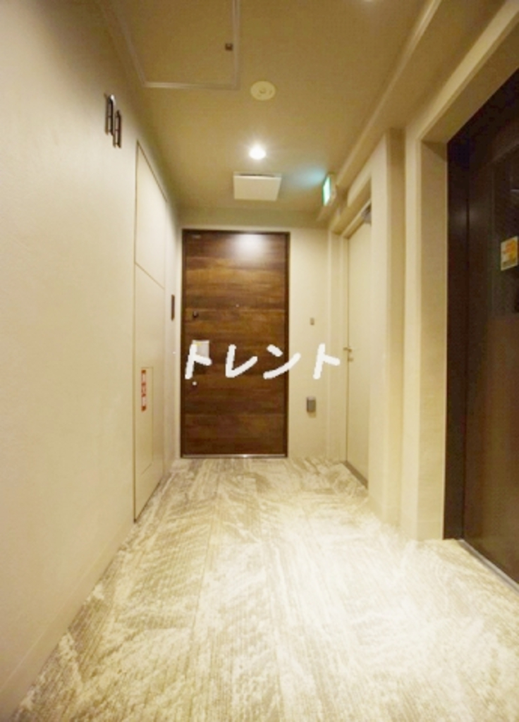 グレイスコート岩本町-501