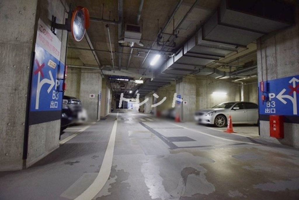 ミレニアムガーデンコート-301