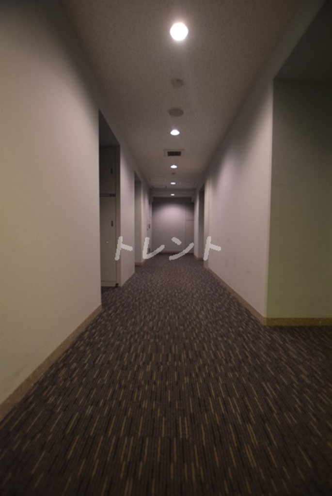 リビオレゾン本郷-406