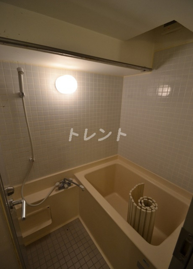 エスエスディー【SS-D】-601