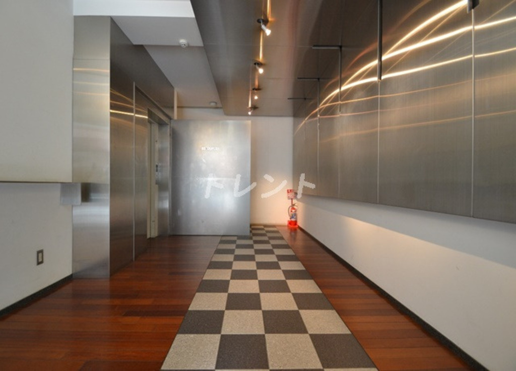 エスエスディー【SS-D】-601