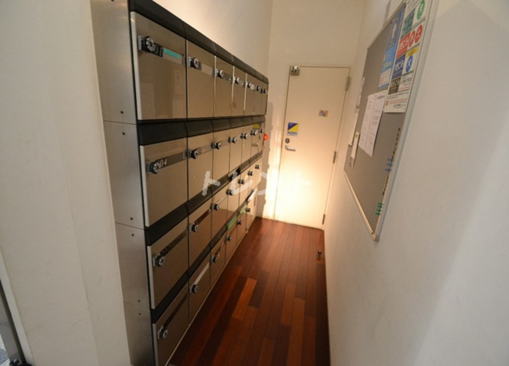 エスエスディー【SS-D】-601