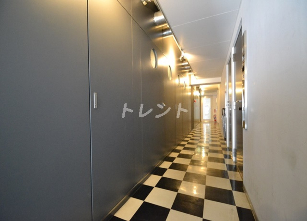 エスエスディー【SS-D】-601