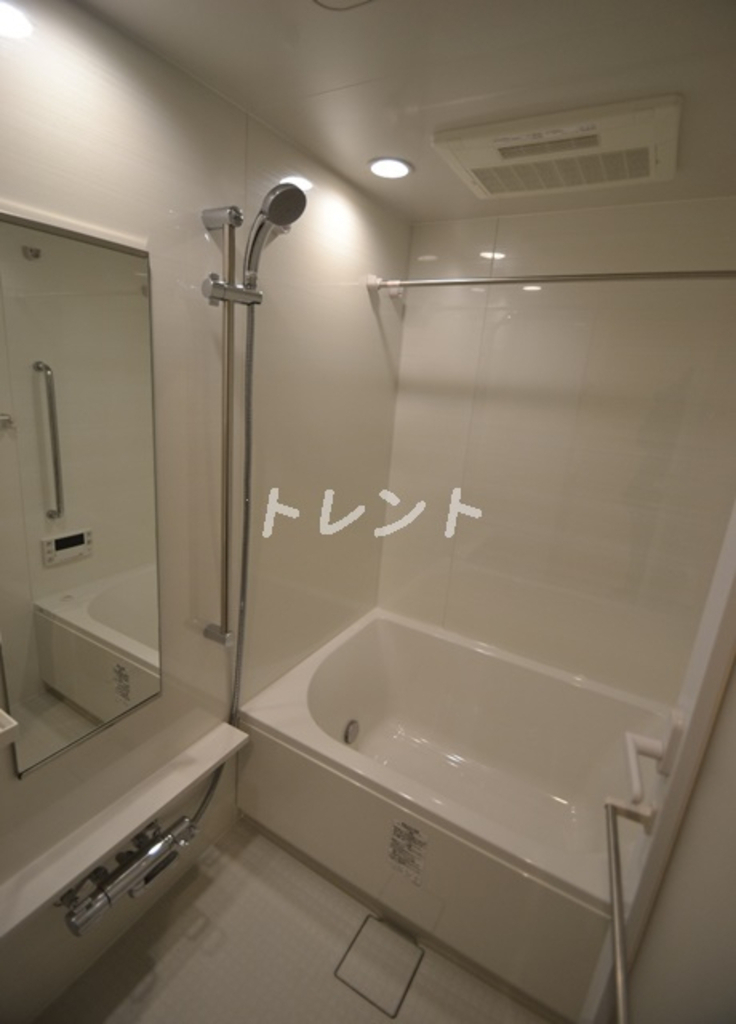 ヒューリックレジデンス新宿戸山-313