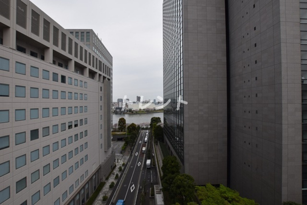 アムス八丁堀Ⅰ-301