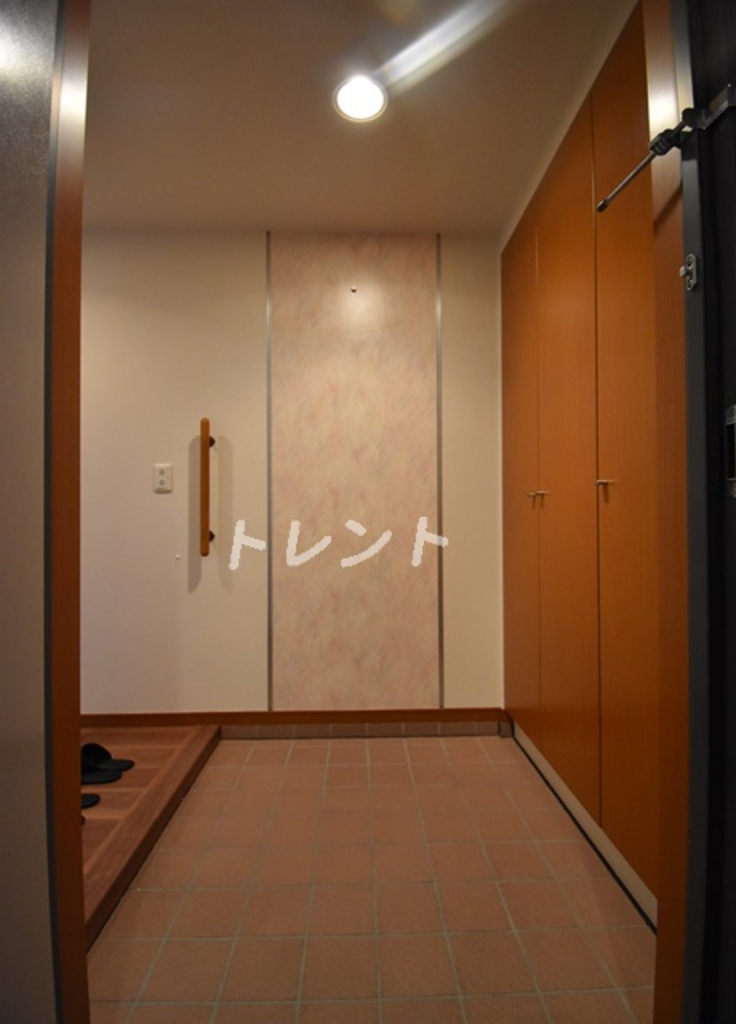 豊洲シエルタワー-1113