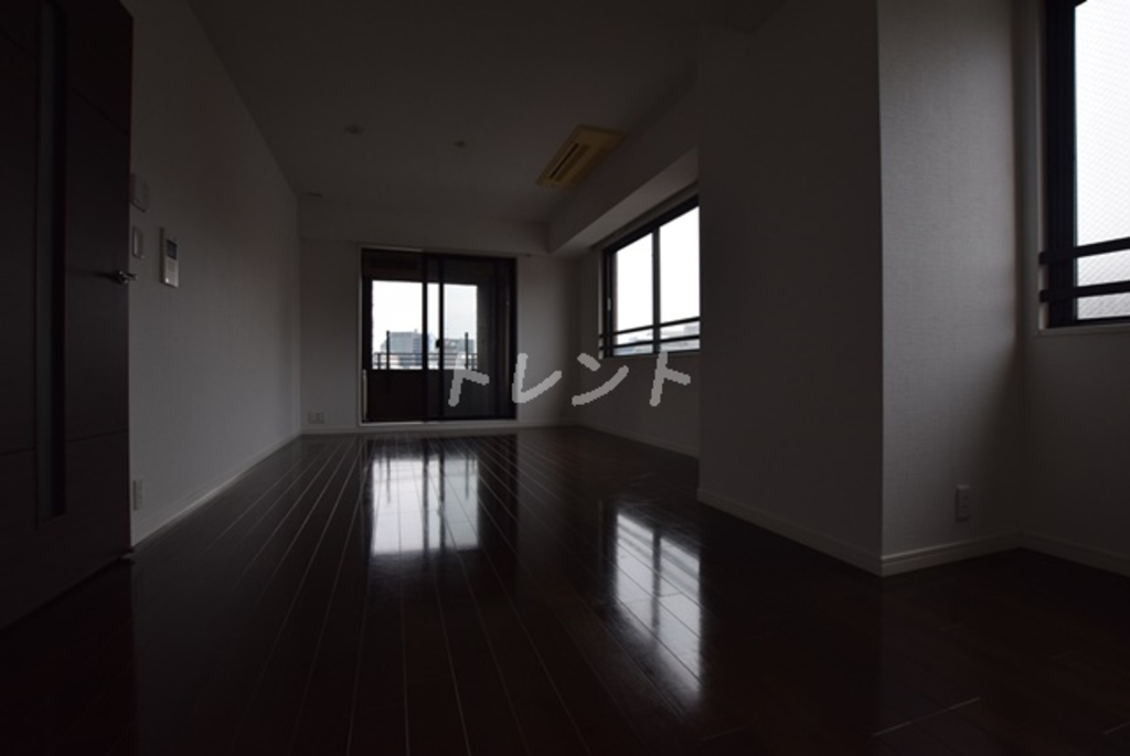 LaSante一番町【ラサンテ一番町】-1002