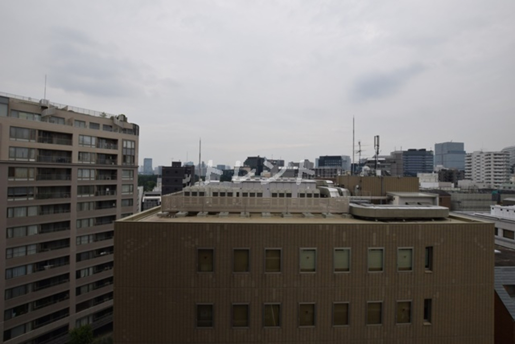 LaSante一番町【ラサンテ一番町】-1002