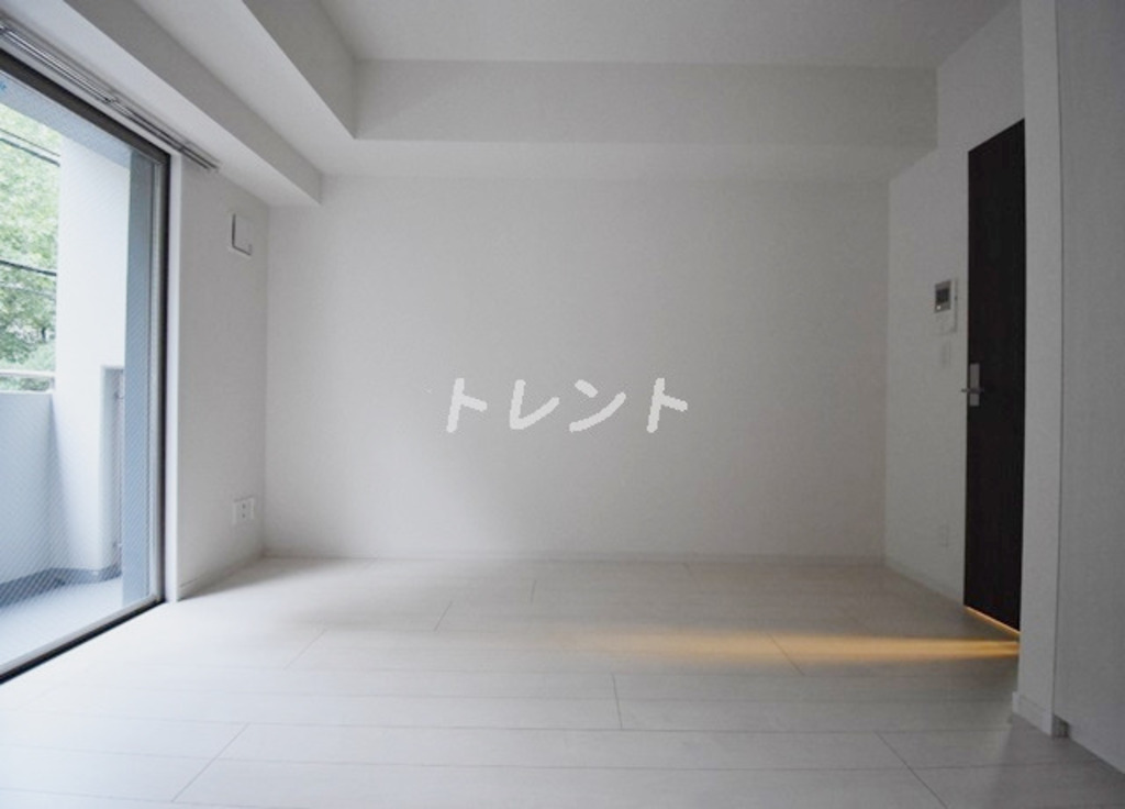 リエゾン銀座一丁目-402