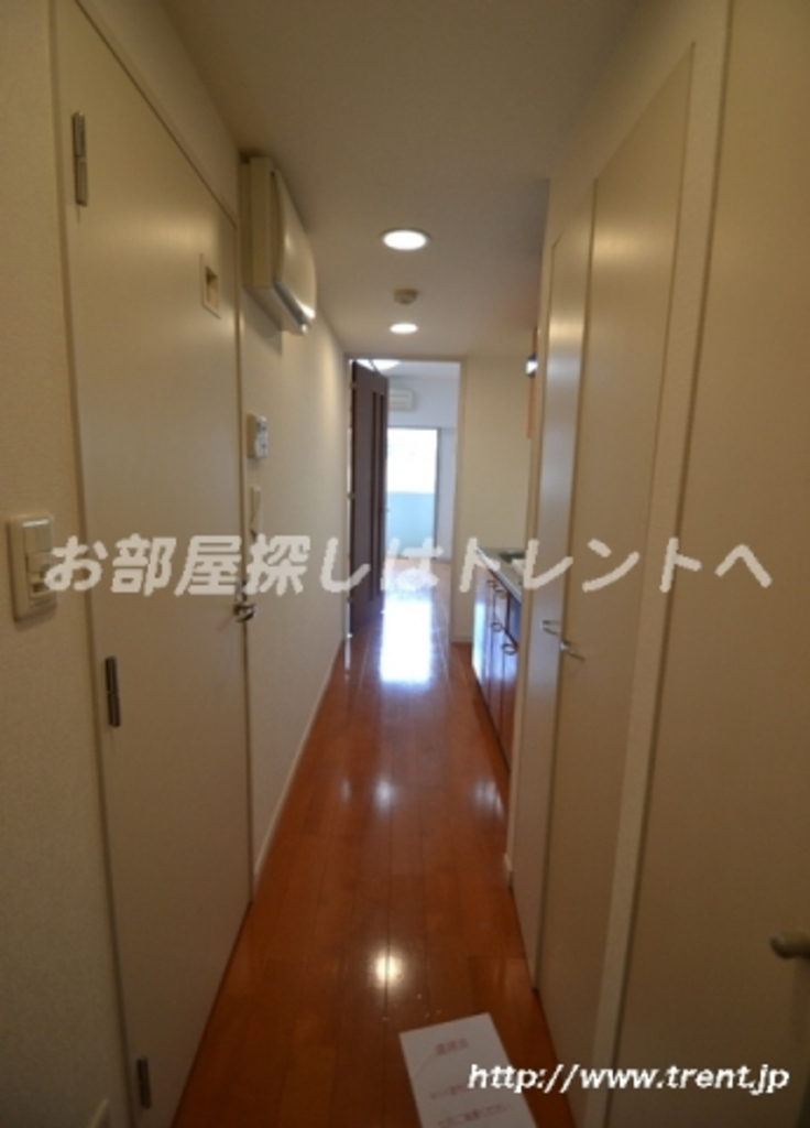 レナトゥス四谷-605